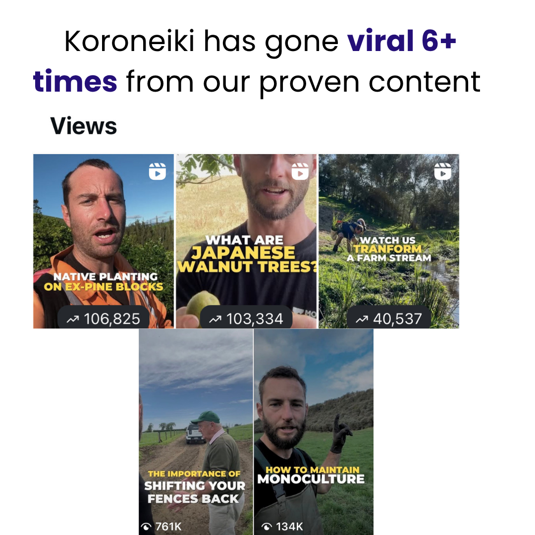 Koroneiki, viral content 6x